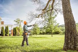 Best Tree and Shrub Care  in Lehigh Acres, FL